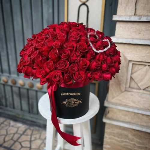  لک لک آواره بی خانمان روی چنار آمد و زد آریان جوجه
