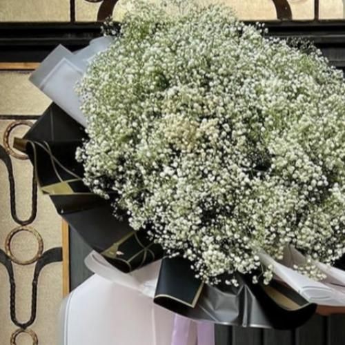  پرنده شادی من رفته که برنگرده همدم تنهایی من یه دنیا