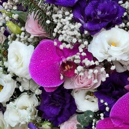  سازش میکنم الو سازش میکنم برای اخرین بار از تو خواهش