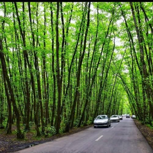  دلم تو سینه از خوشی داره میشنگه حالا دیگه دنیا برای من
