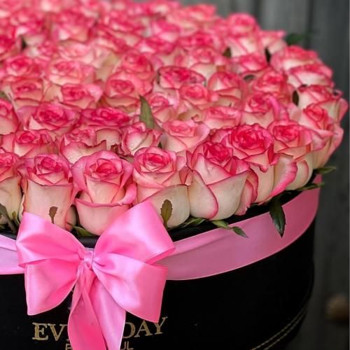  کاش توهم حال مرا داشتی سینه ای از کینه جدا داشتی