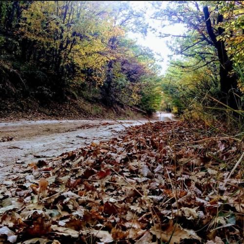  آسمون خوب جاییه کسی به آدم کار نداره زندگی اونجا