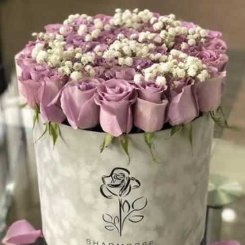  نه فکر من نه خود نه دیگرونی نه کافر نه مسلمونی نه گبری