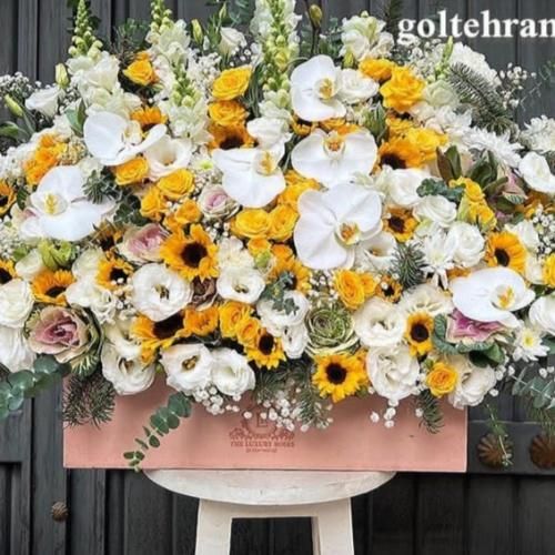  میون این همه این یار این همه یار دلدار ای از خودم خودی تر
