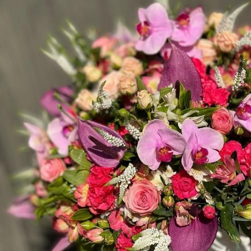  کجا میری فلونی ترسم بری و بمونی کجا میری