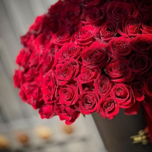  ای ساربان کجا می روی لیلای من چرا می بری در بستن پیمان