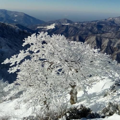 آروم آروم توو بارون شونه به شونه تا خونه قدم میزنیم