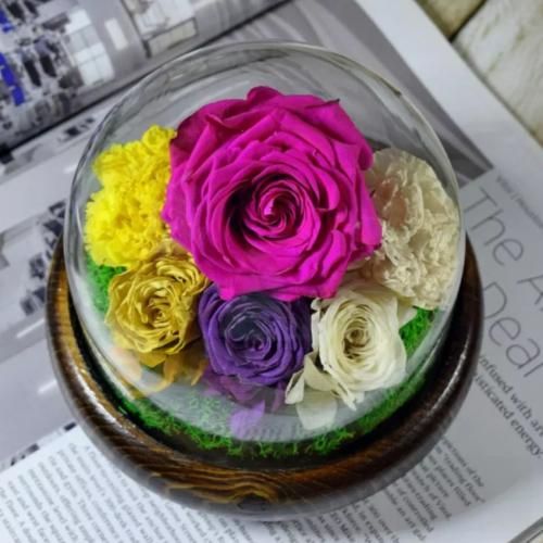  پیری مثله عجل از راه رسیده گل خوشبختیم و از شاخه چیده