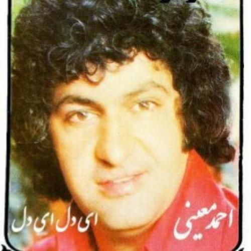 احمد معینی ای دل ای دل