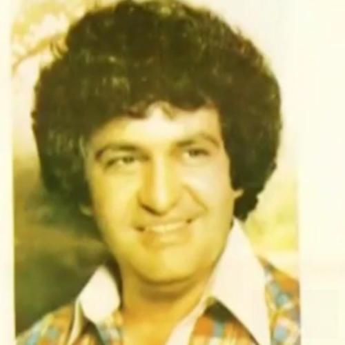 احمد معینی سکه گم شده بختمو پیدا میکنم
