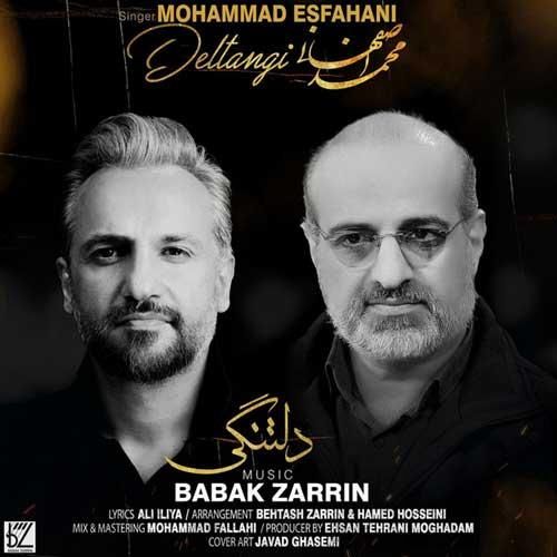 محمد اصفهانی دلتنگی