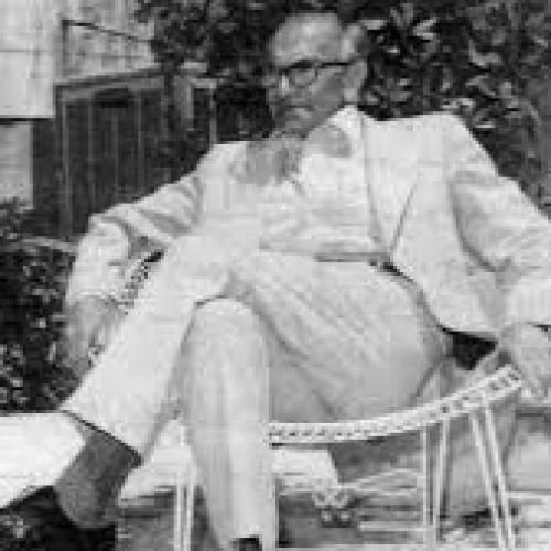 جواد بدیع زاده خیلی قشنگه