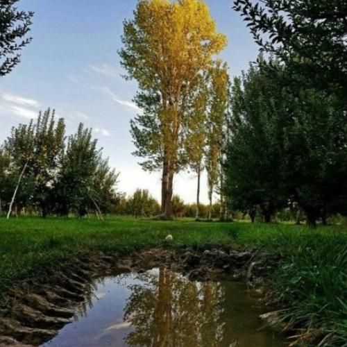 صدیق تعریف تو منالی چهارده سالی
