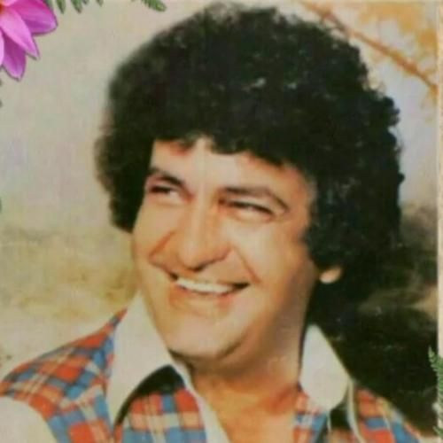 احمد معینی جوانی