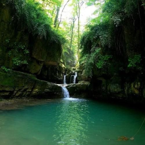 ملوک ضرابی شیرین لب