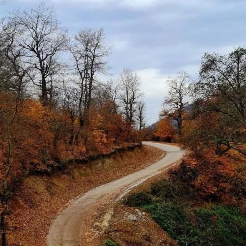 ملوک ضرابی دختران سیروس