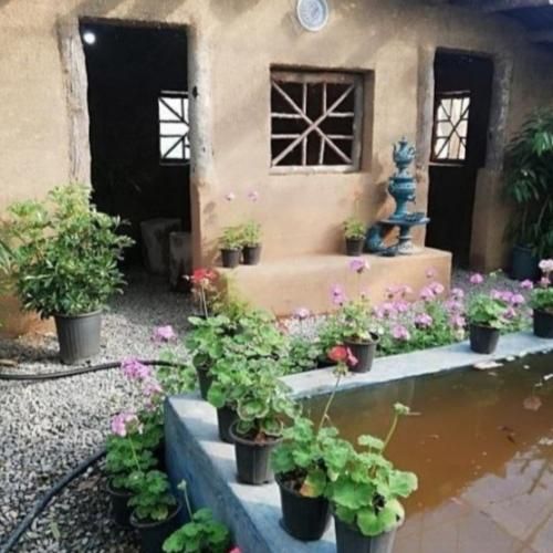 سیما بینا آهوی من