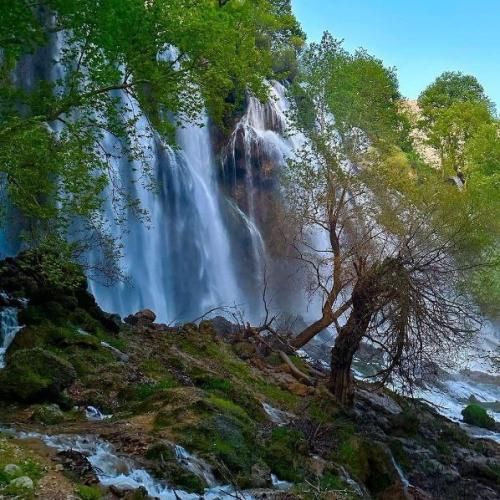 سیما بینا برق شمشیر
