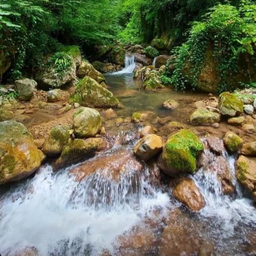 سیما بینا سبزه گل یار