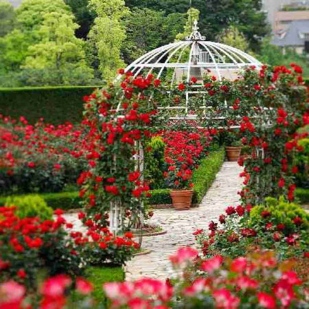  فقط با یک اشاره ستاره می چینم برات