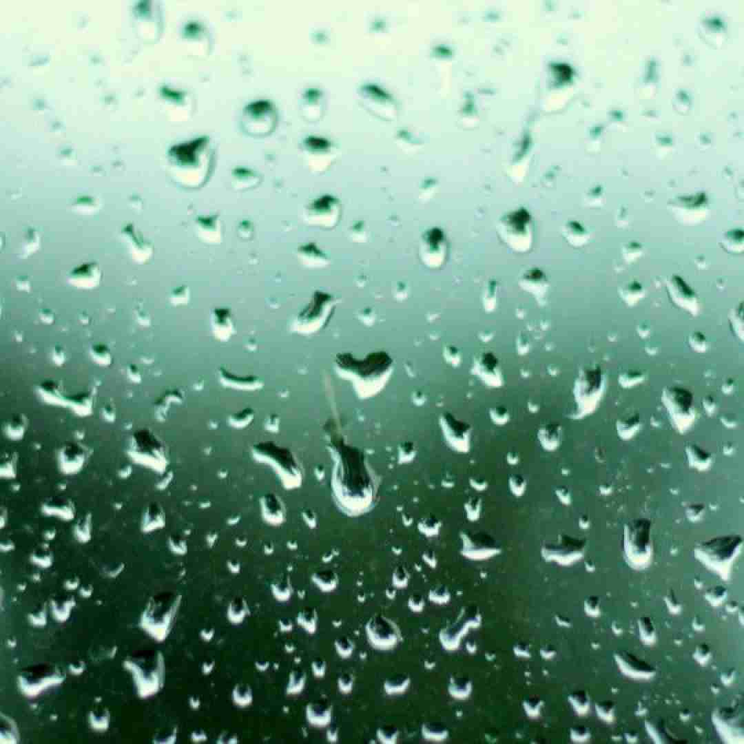  گفتم توی باغچه تو بجای گل دل ميکارم