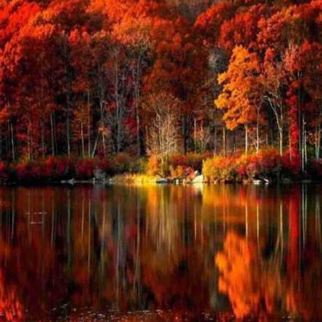  بگو محض نمونه شبونه ماهو بیار