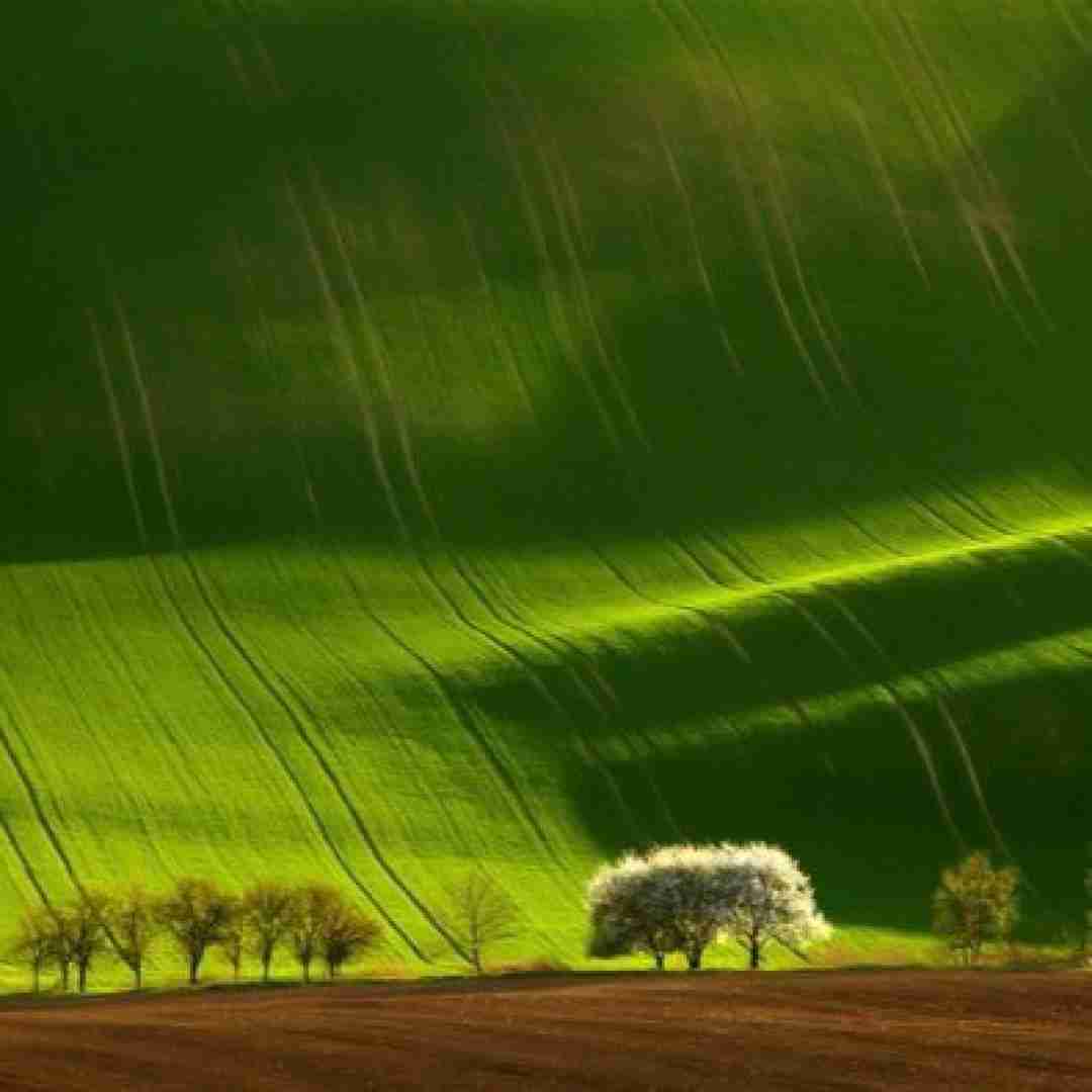  کاش می شد گذشته ها رو پس بگیرم