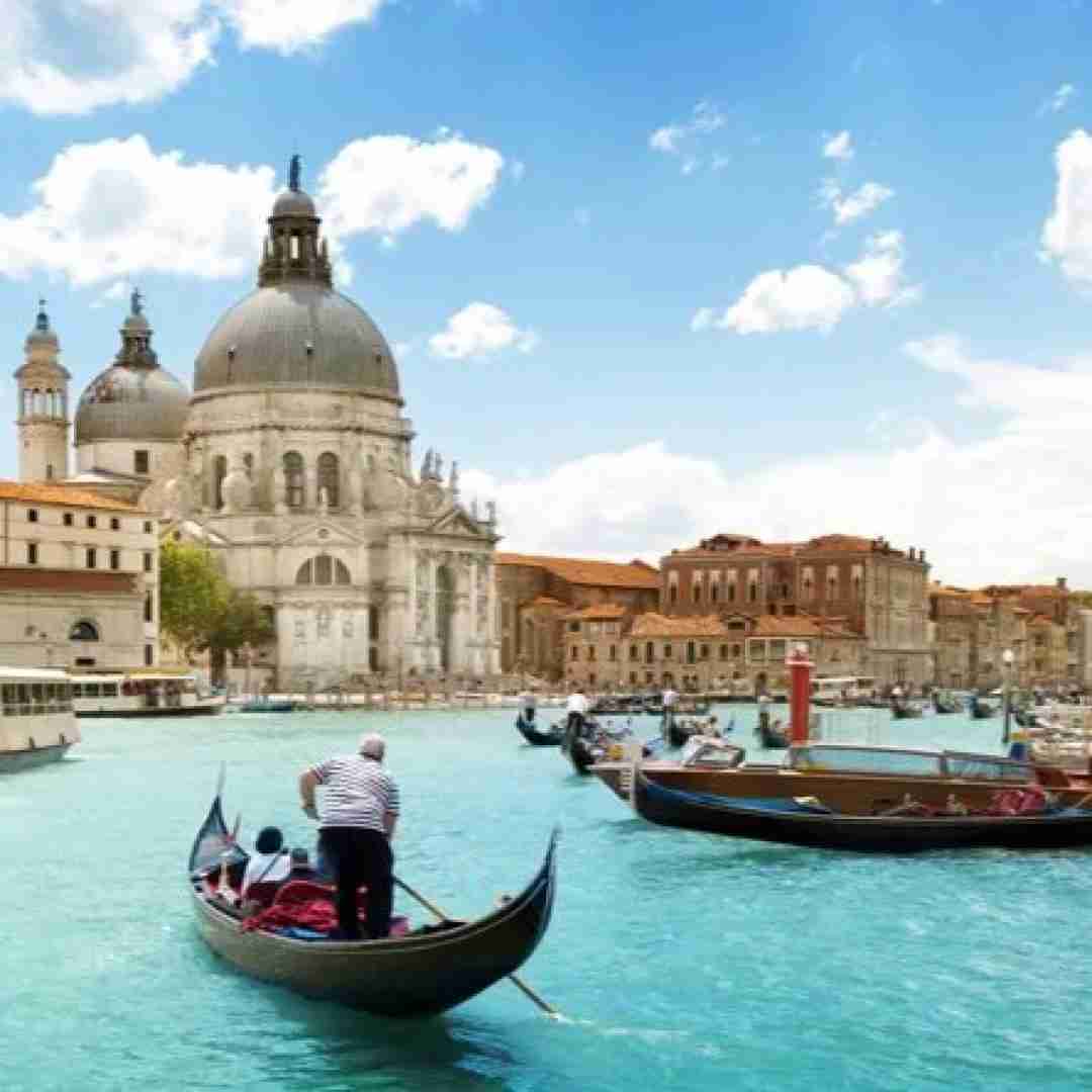  دلم دیوونه خونست وای عجب شوری تو خونست
