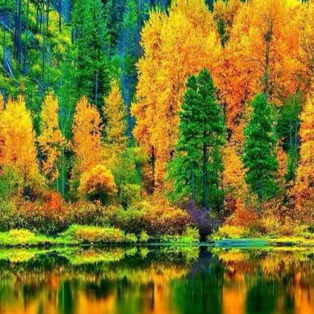  دل من خیلی برات دلواپسه انتظار عزیز من دیگه بسه