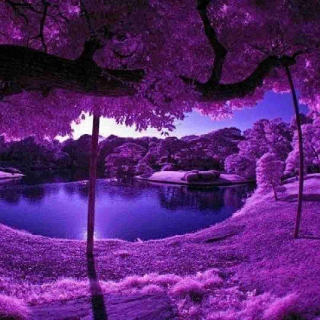 خواب شب هامو بخوای من به تو نه نمیگم