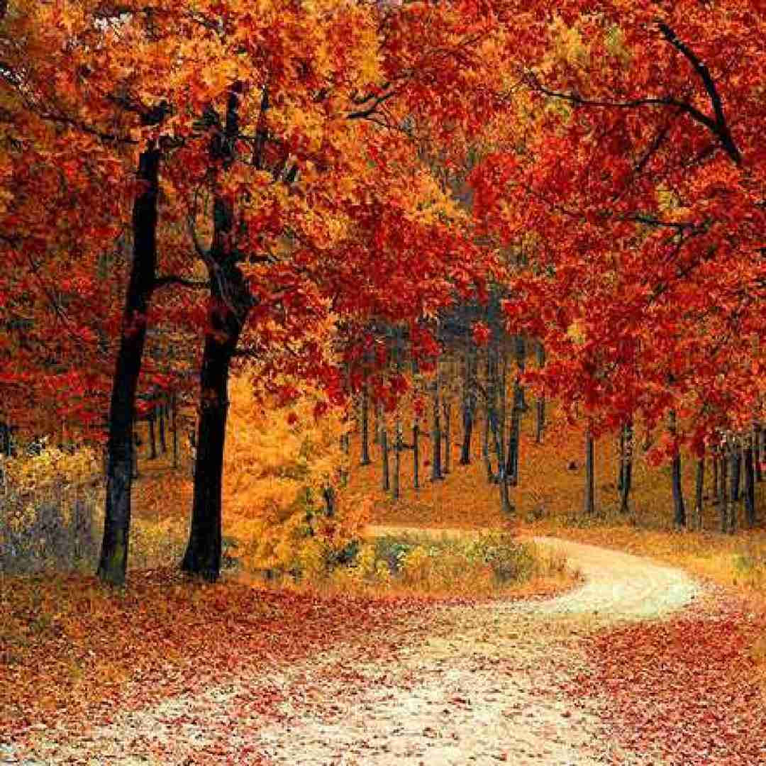  به من کمک کن آسمون ابریه عشقو صاف کنم