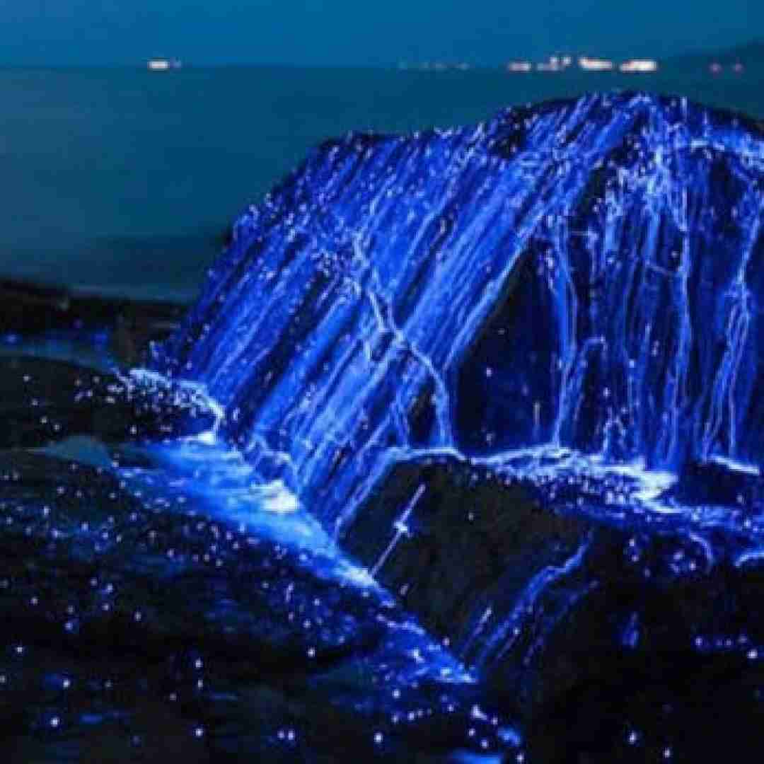  آدم چه فکرا میکنه چه نقشه ها توسرشه