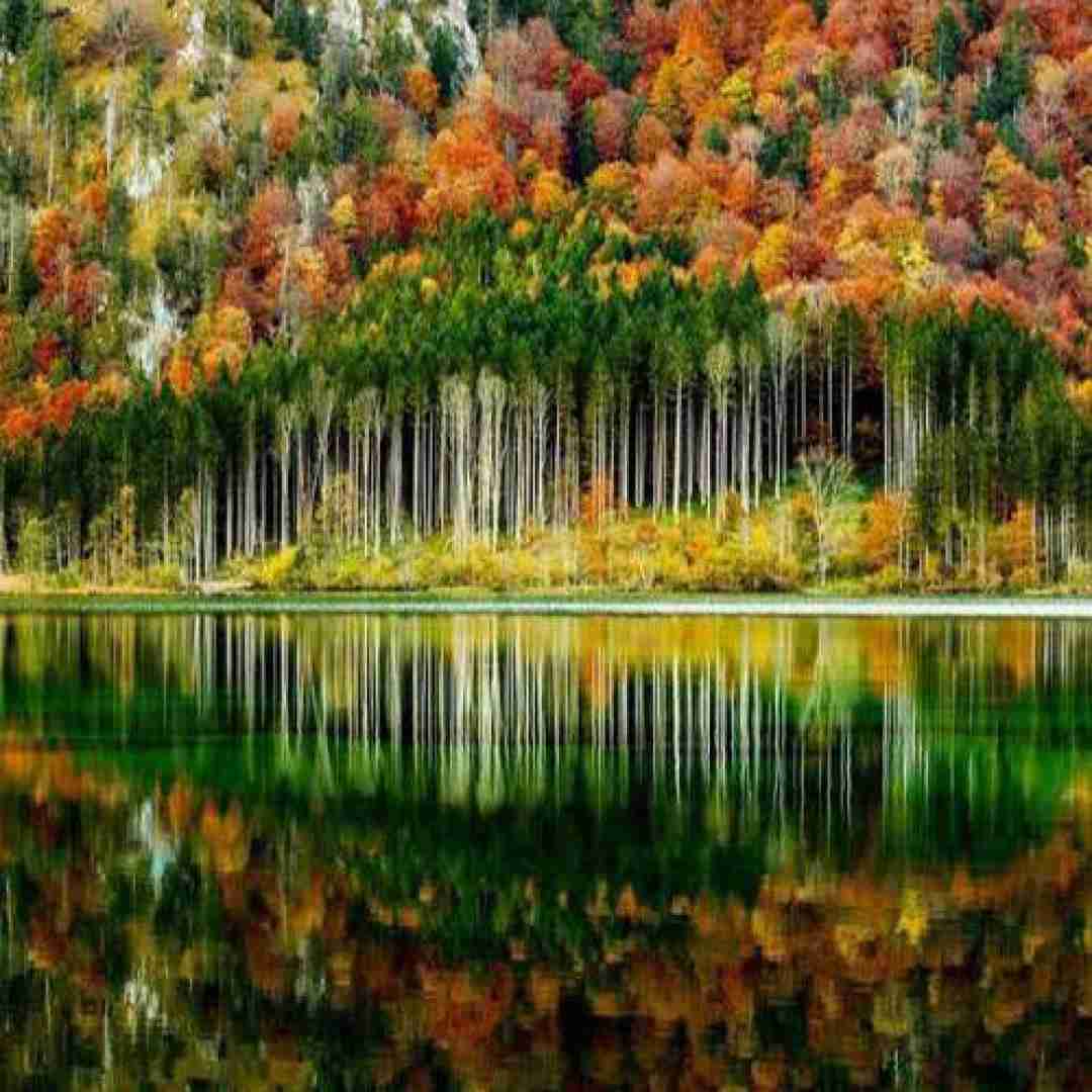  به فلک چیزی نگفتم نکنه چشم بزنه