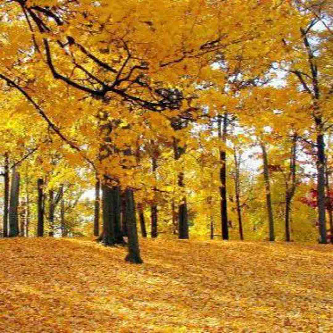 حیف که نمیشه از تو گفت از تو نوشت
