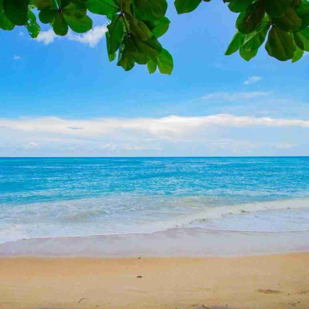  تو آب دریای شمال میشستمت میکشتمت
