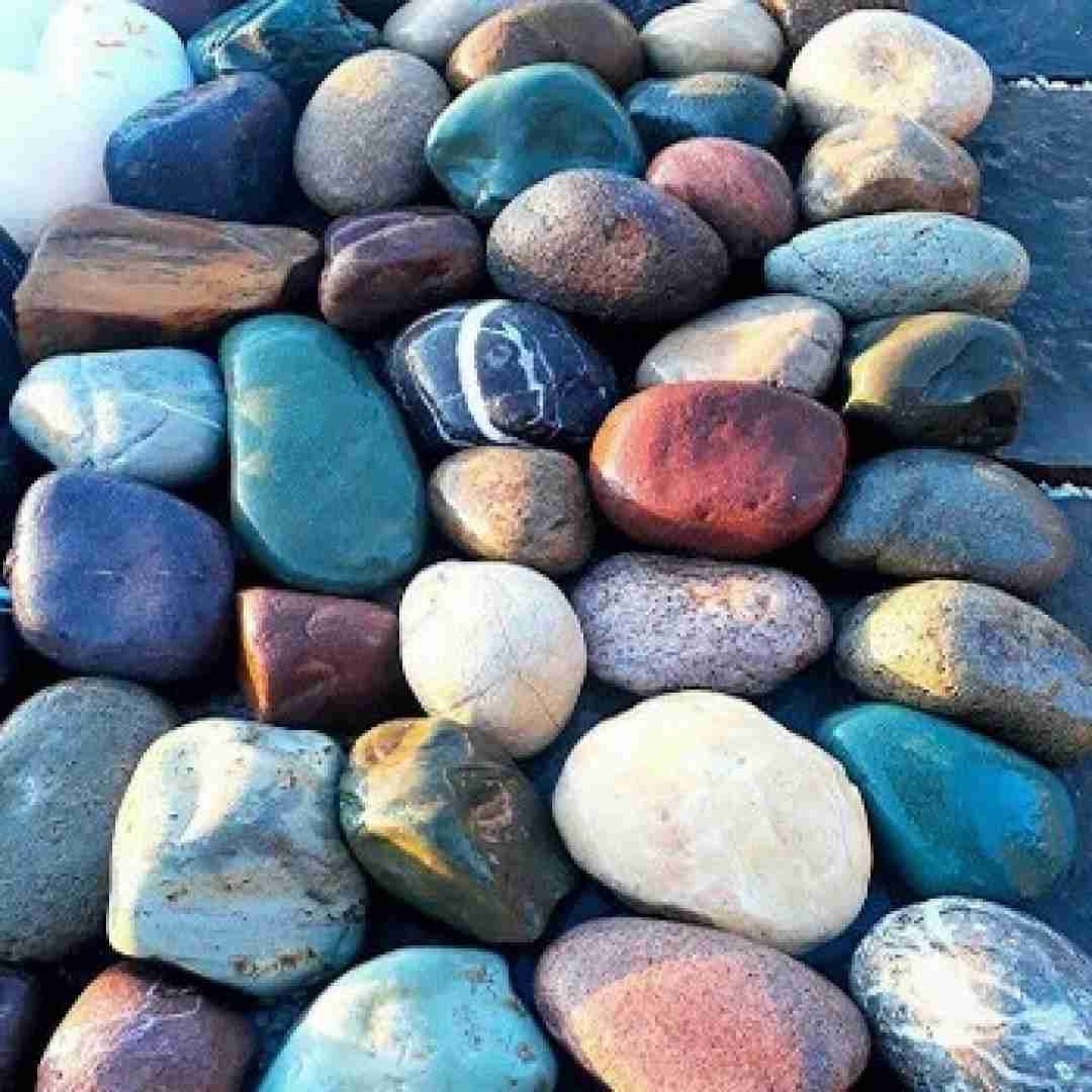  در گلخونــه بازه عزیزم خواب نازه