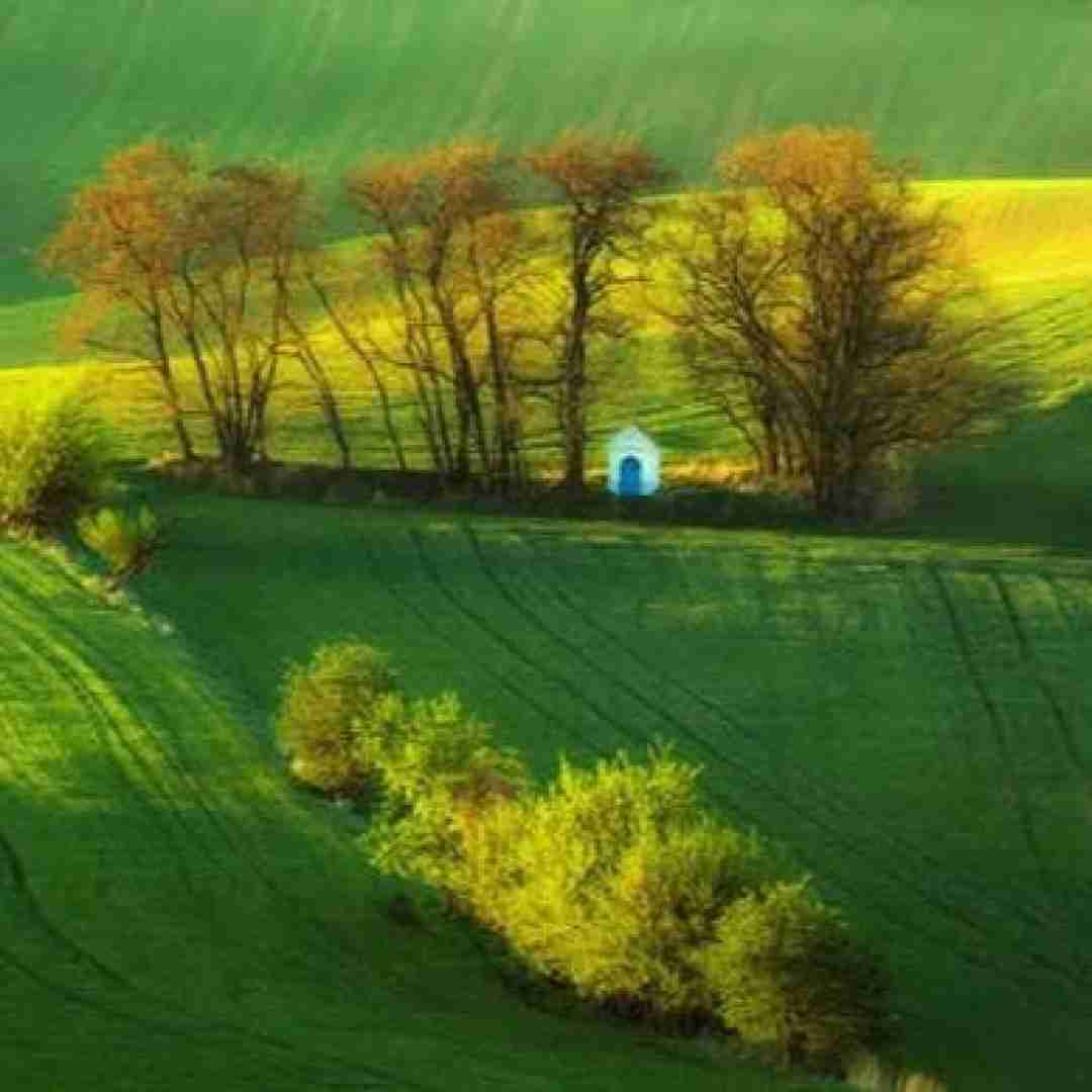  عشق تو خیلی برام مقدسه انتظار عزیز من دیگه بسه
