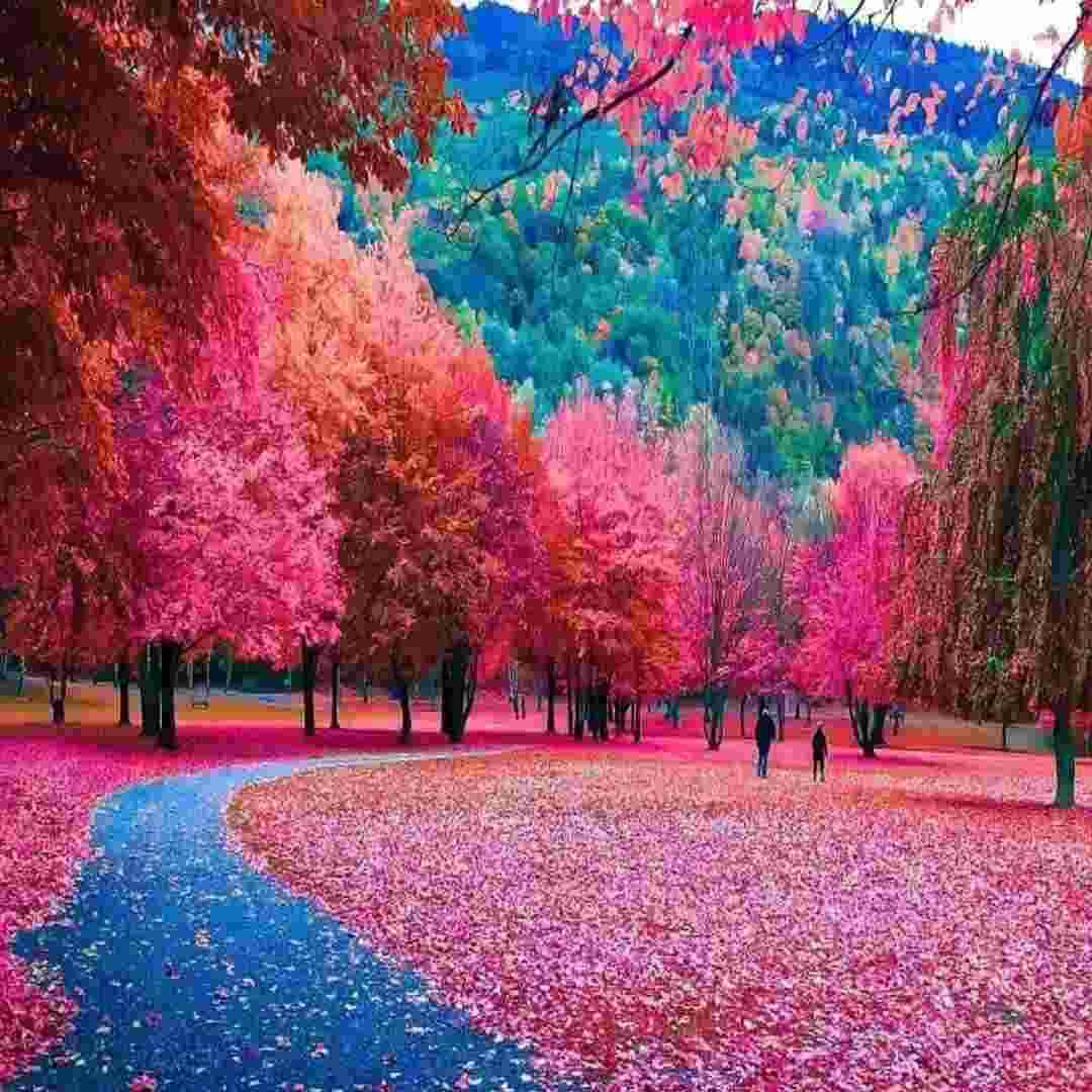  آره پیروز شدم قلب غمو شکستم