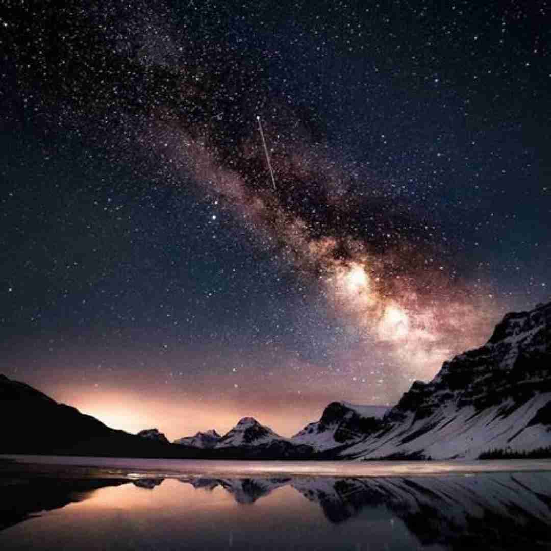  از تو گلخونه ی دنیا میون تک تک گلها