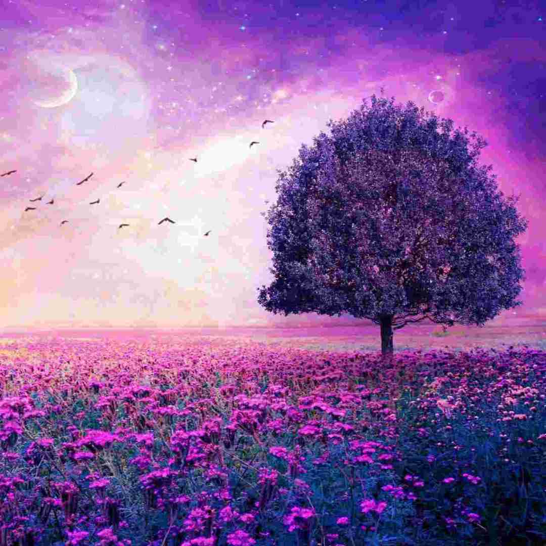  از کوچه های کودکی منو به خونه میبره