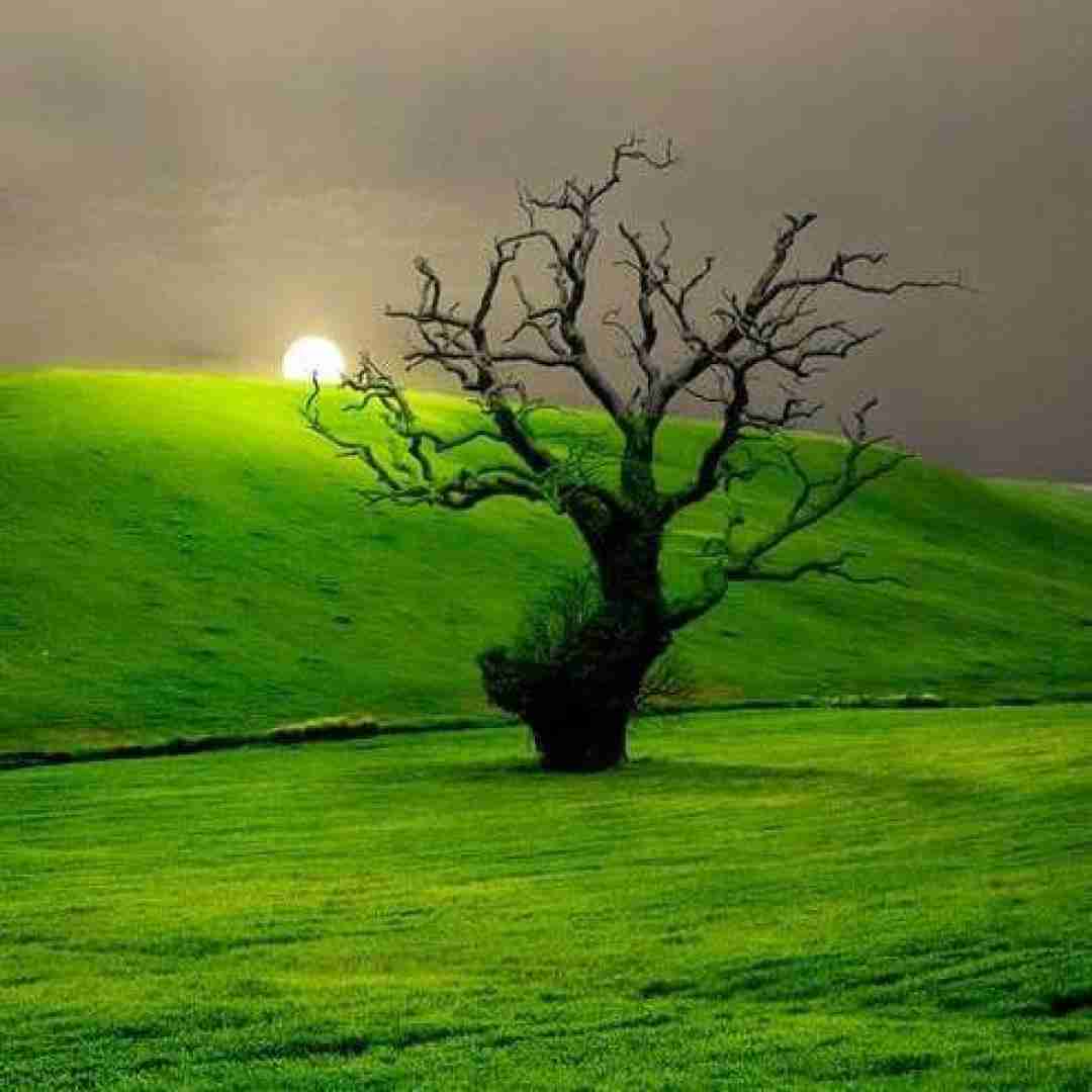  یک پیاده صبح روشن یک سبد ابر بهاری
