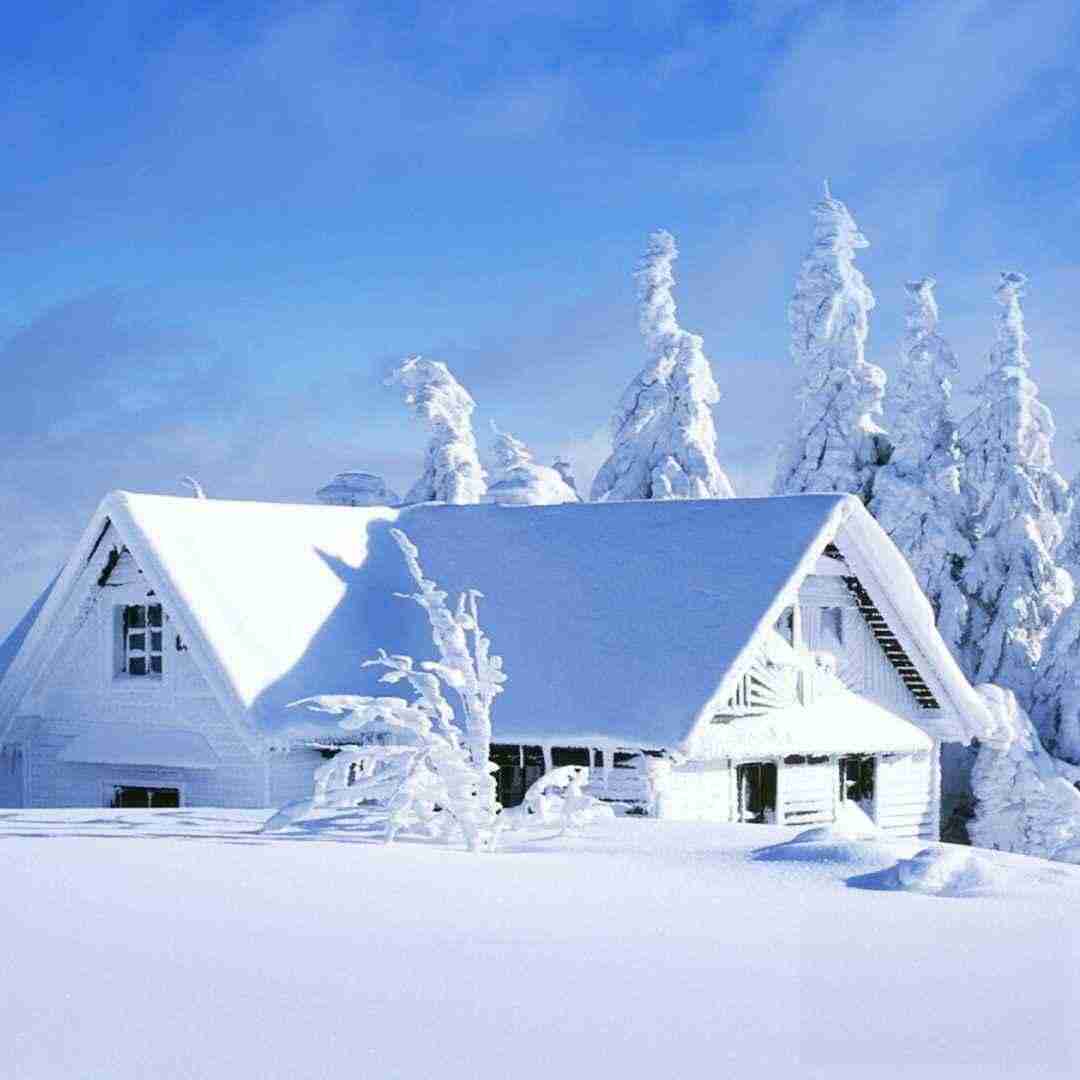  ای عشق آســمانی من رویای جاودانی من