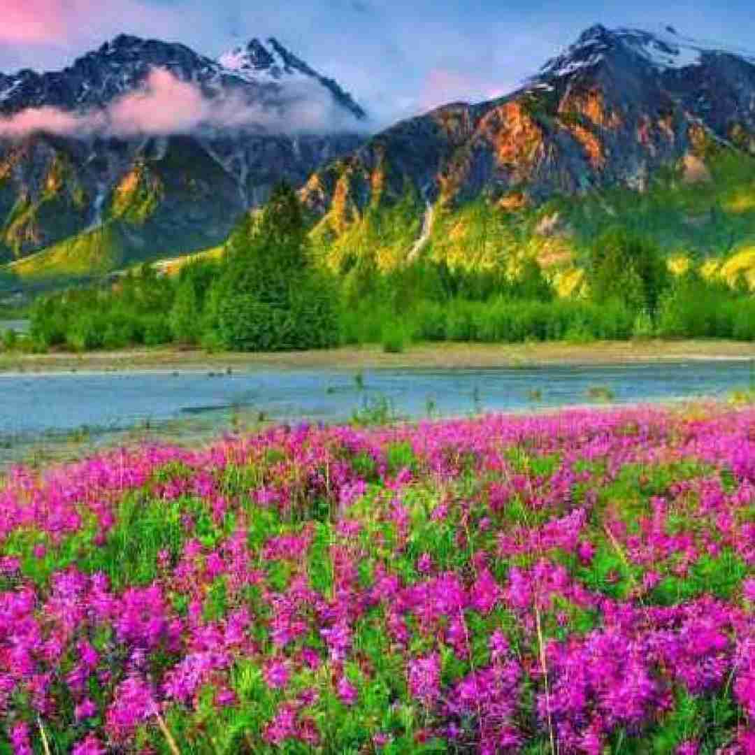  بسه بسه انتظار اره بسه بسه دیگه انتظار