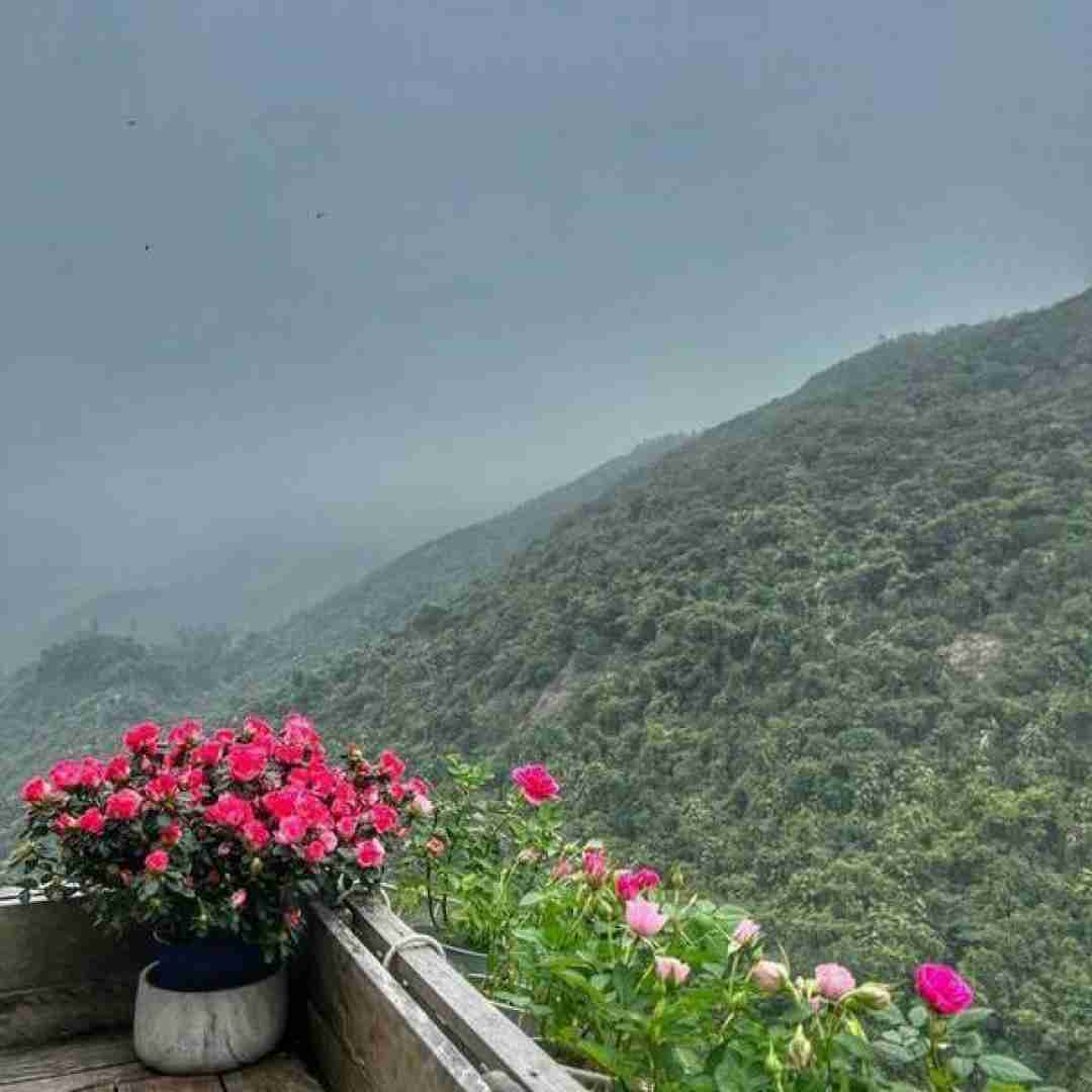  اگه بدونی اگه بدونی چقدر دوست دارم
