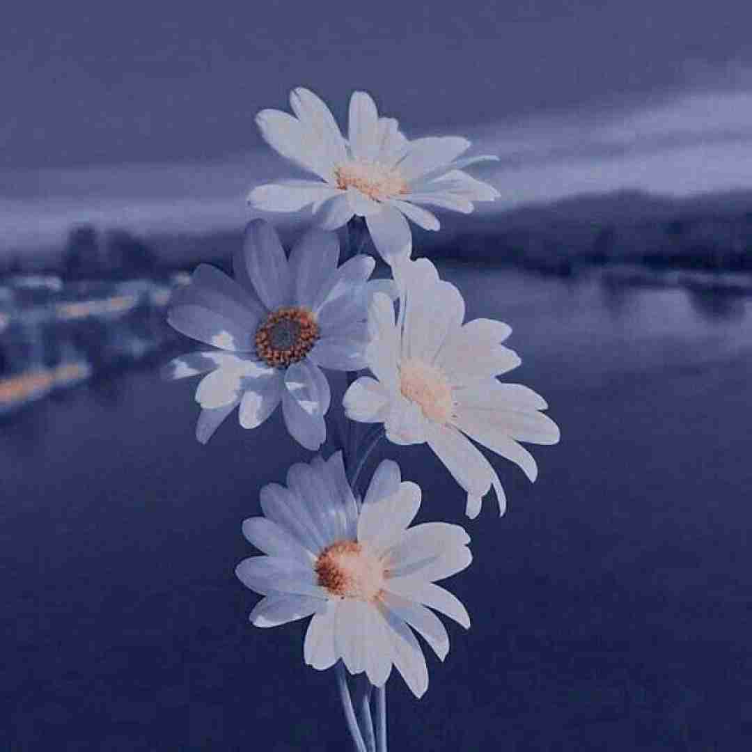  ای رویای شور انگیزم بی تو من از خودم گریزانم