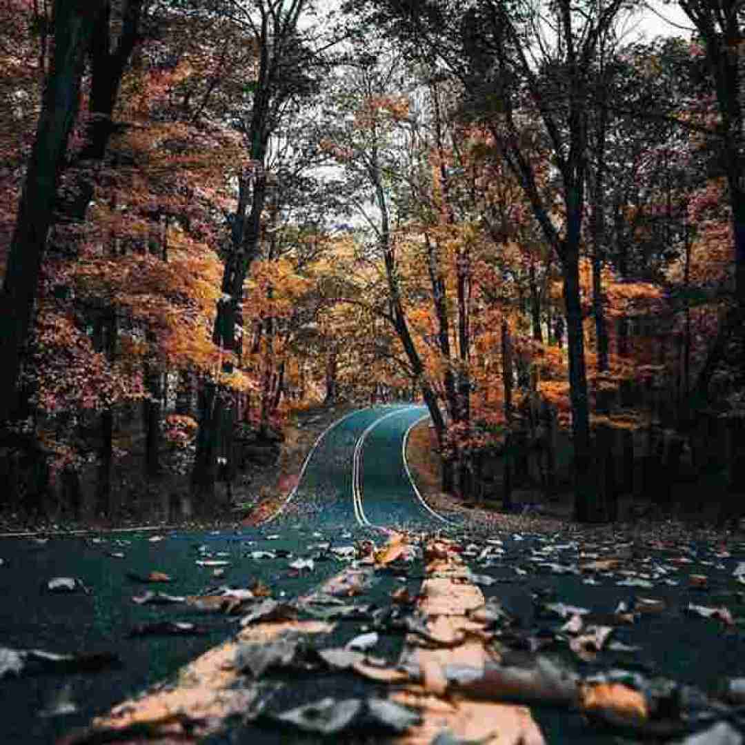  تو حرفات مثه لالایی غم خواب عروسک نیست