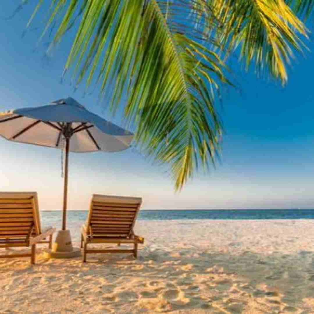  دل به رویای تو بستم طاقتم طاق نشه