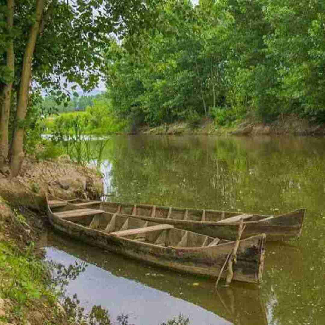  دستامو بگیر که رد شم از جنون