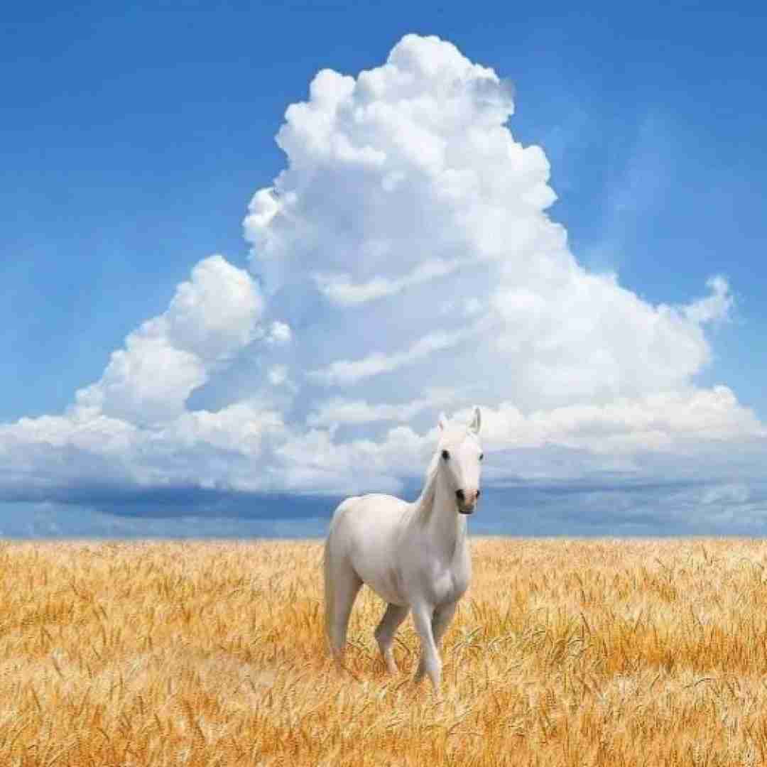 پری زنگنه لای لای