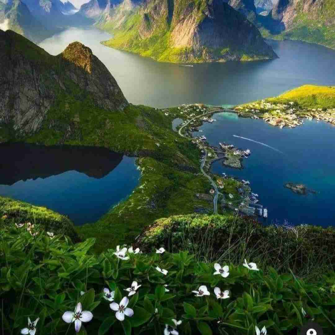 پری زنگنه کوهستان